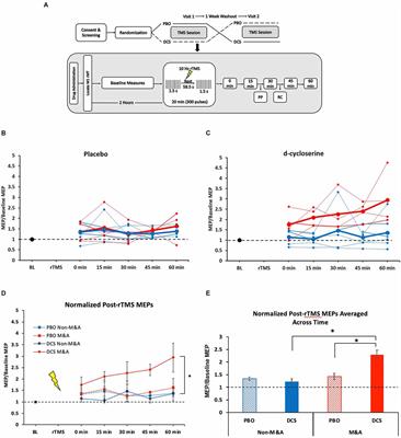 Practice makes plasticity: 10-Hz rTMS enhances LTP-like plasticity in musicians and athletes